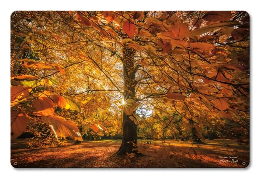 AUTUMN SCENE GOLDEN BROWN LEAF 18