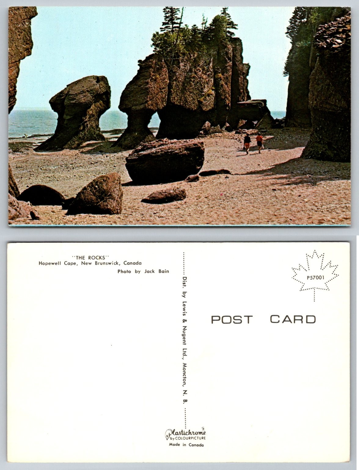 Vintage Postcard Hopewell Cape The Rocks New Brunswick Canada Plastichrome