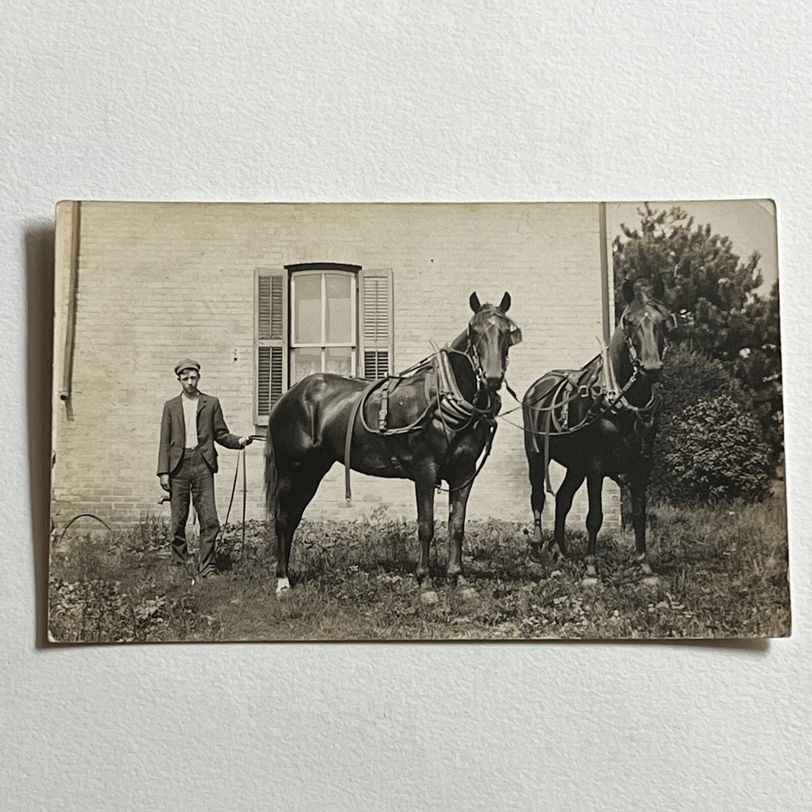 Antique RPPC Real Photograph Postcard Handsome Young Man & Big Beautiful Horse