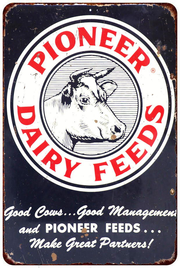 Pioneer Dairy Feeds Farm Cow Vintage LOOK reproduction metal sign
