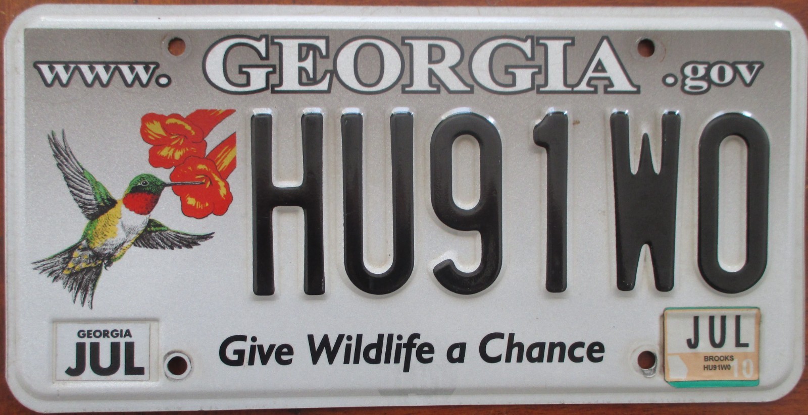 2010 GEORGIA WILDLIFE CONSERVATION LICENSE PLATE #  HU91WO  HUMMINGBIRD