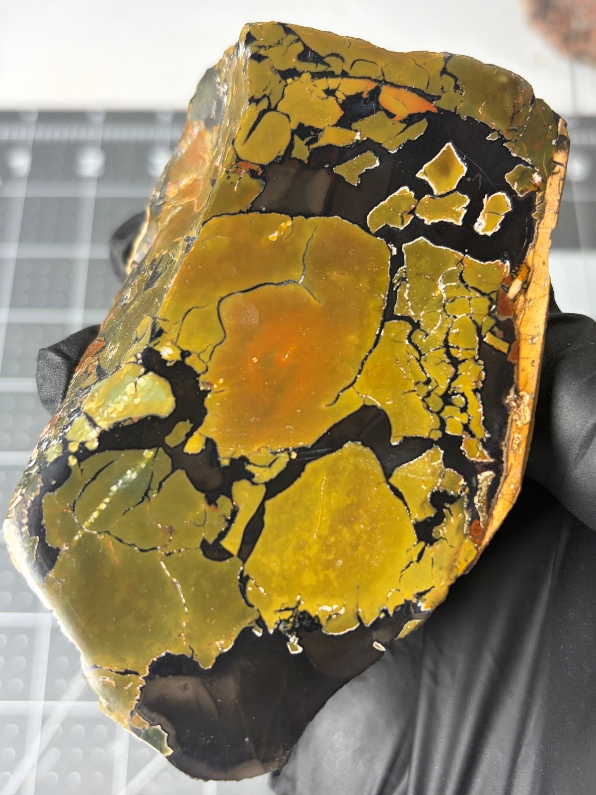 Beautiful Whiskey Creek Jasper Face Polished Specimen Brecciated Idaho Lapidary