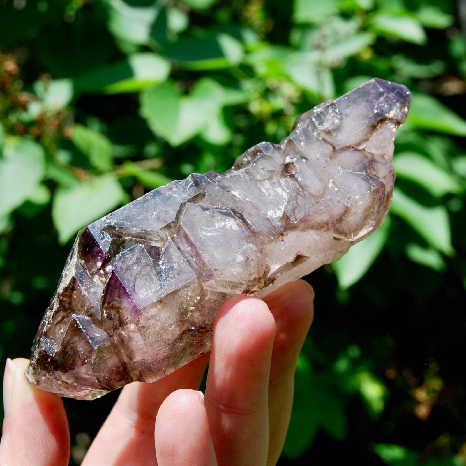 DT ET Elestial Amethyst Quartz Crystal Scepter Cathedral 4.6in 246g Zimbabwe - S