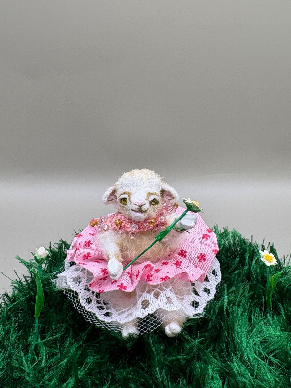Miniature Sheep Cub- approx. 2\ Miniature Sheep Cub- approx. 2\