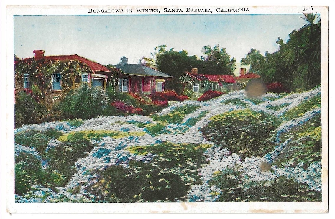 Santa Barbara California c1920\'s bungalows in winter, flowers, residence