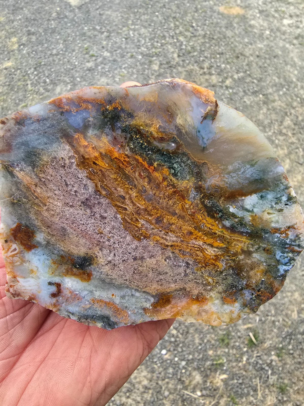{OOAK} RARE MAURY MOUNTAIN MOSS AGATE SLAB/SPECIMEN - GORGEOUS - OREGON