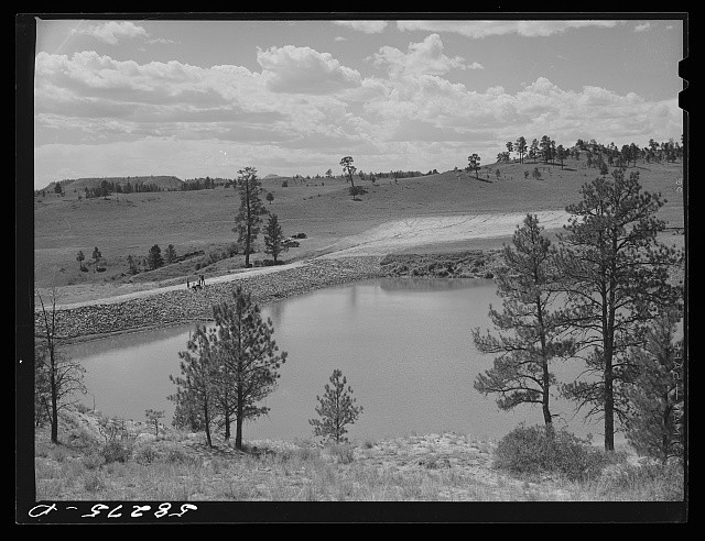 Photo:Lame Deer Montana 1941 Lyman Brewster Lease Cattle Reservoir