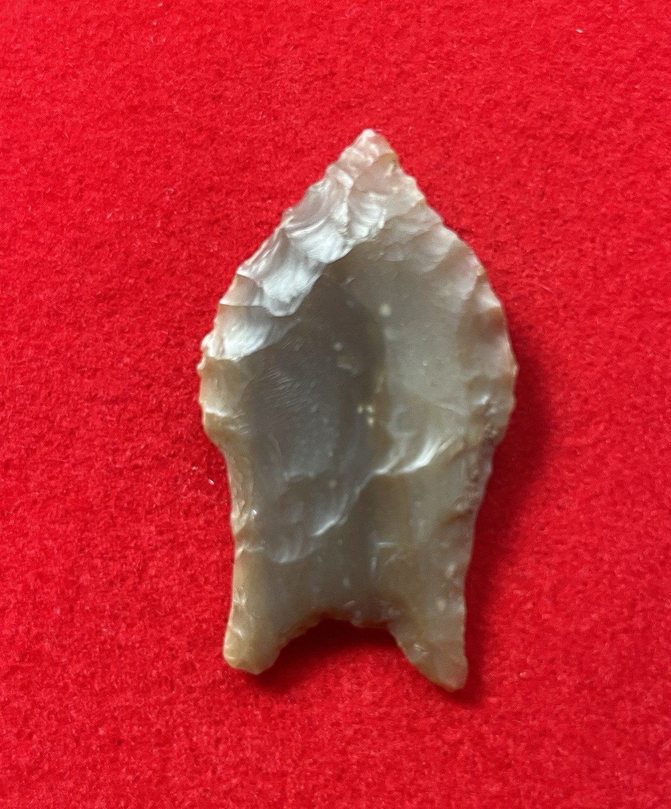TEXAS ARROWHEADS - Pelican (rare Paleo) Published- AUTHENTIC INDIAN ARTIFACTS