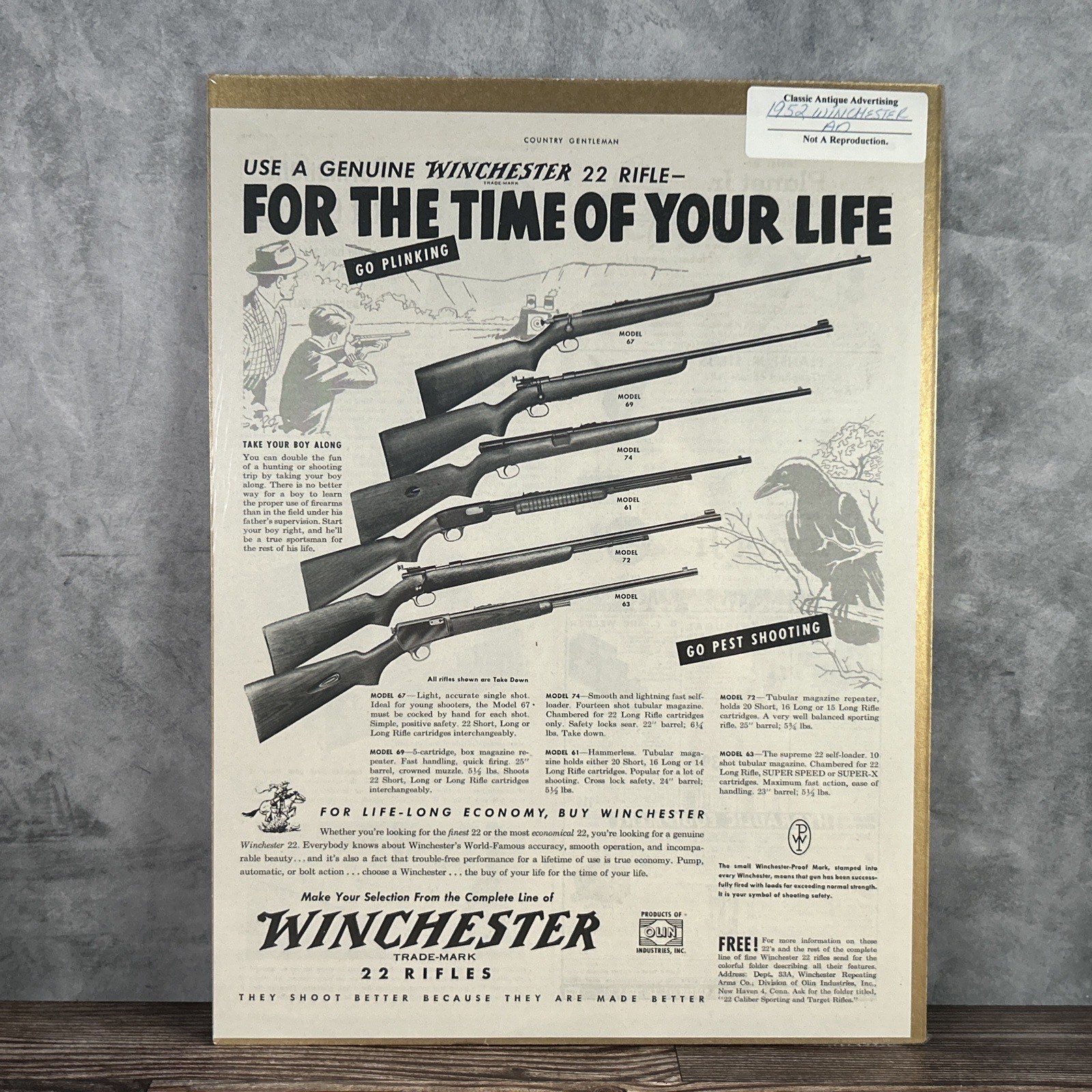 Antique 1952 Winchester 22 Rifle Advertising Print Models 61 63 67 69 72 74 Art