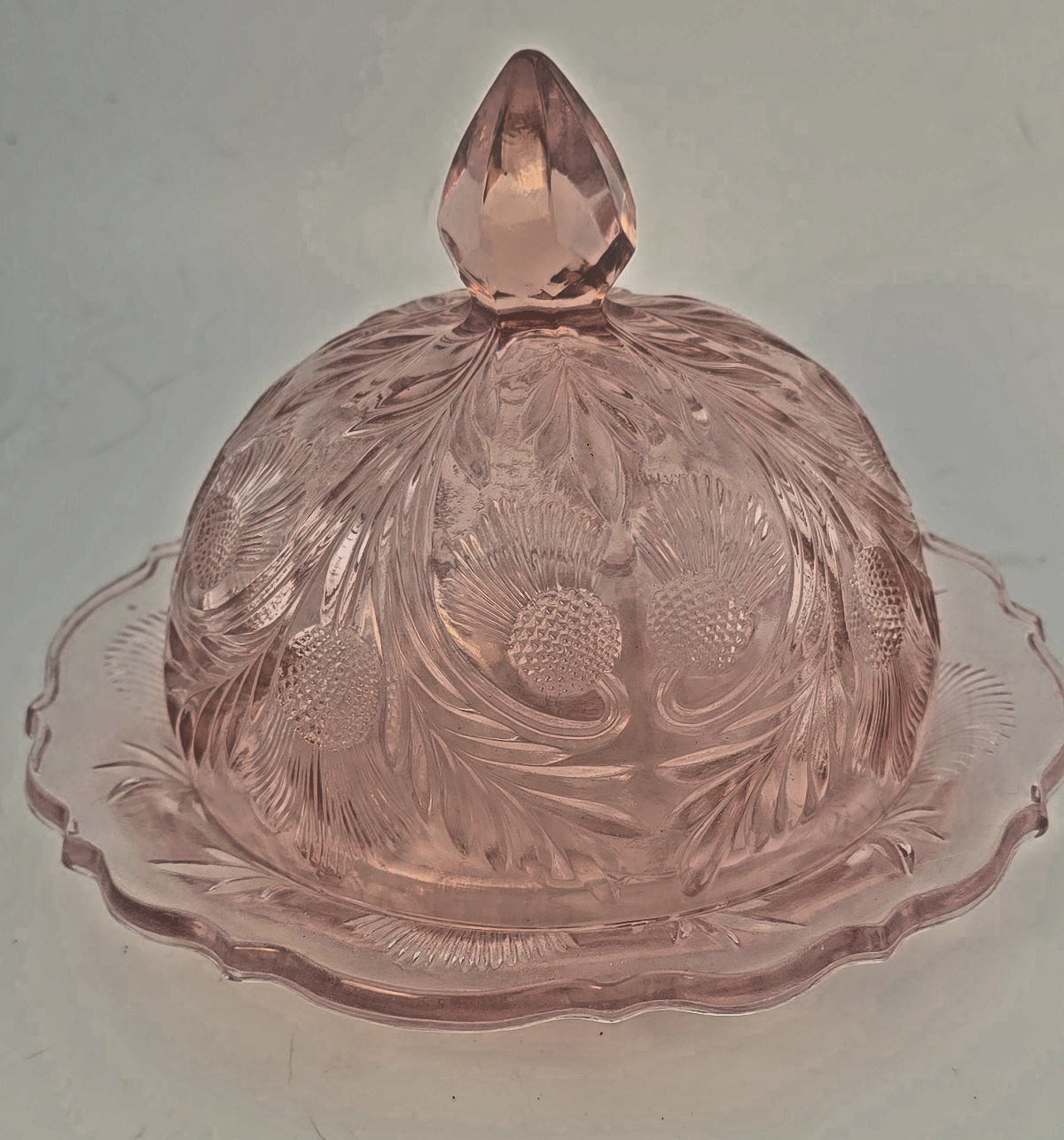 moser pink inverted thistle butter 4.75 w  5.5h