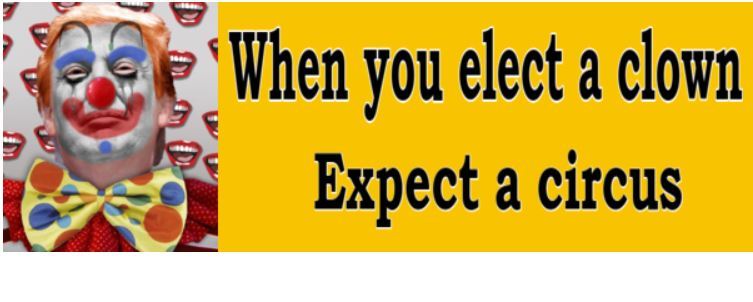 When you Elect a Clown - ANTI Trump POLITICAL BUMPER STICKER When you Elect a Clown - ANTI Trump POLITICAL BUMPER STICKER