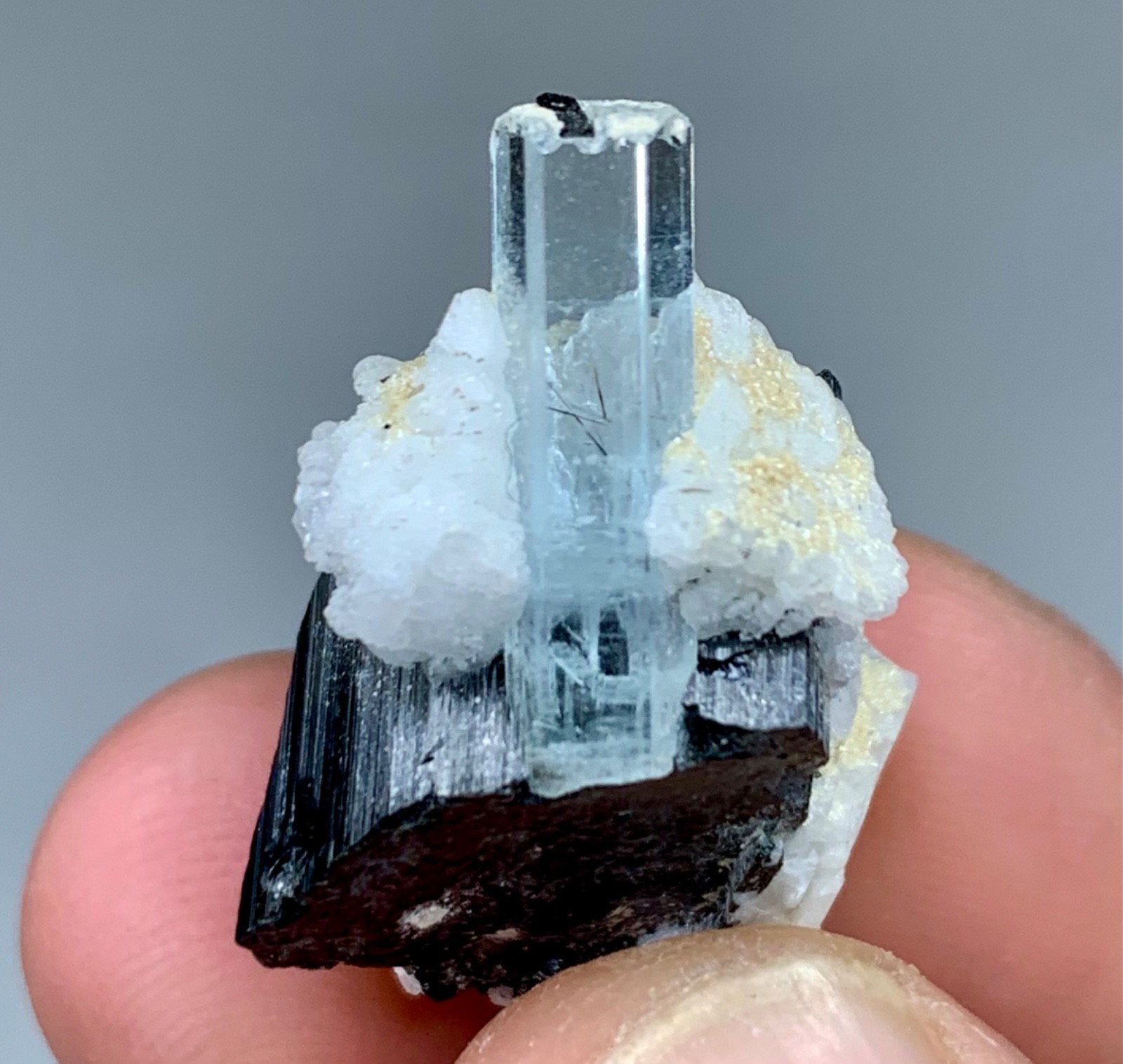 09gram Natural Terminated Aquamarine Crystal Combine Schorl & Albite Matrix 09gram Natural Terminated Aquamarine Crystal Combine Schorl & Albite Matrix