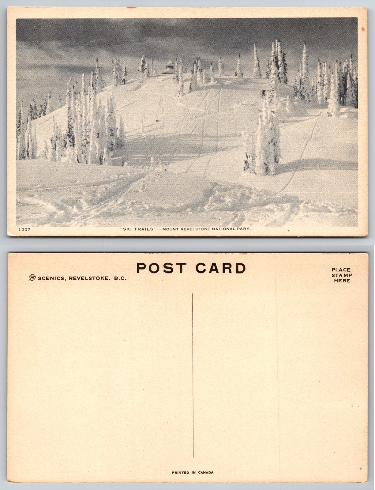 Ski Trails Mount Revelstoke National Park Postcard