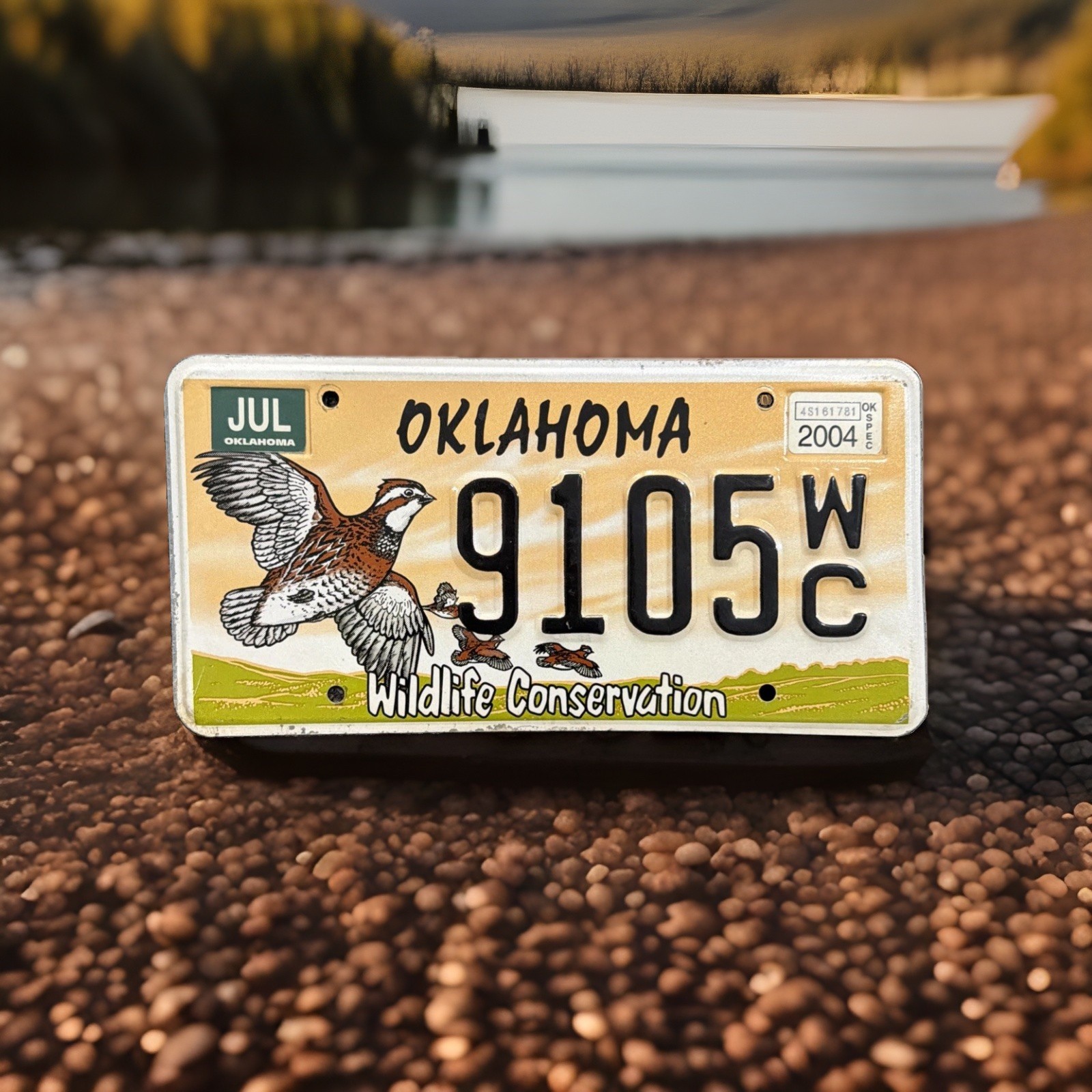 2004 Oklahoma License Plate Wildlife Conservation 9105 WC Quail Graphic
