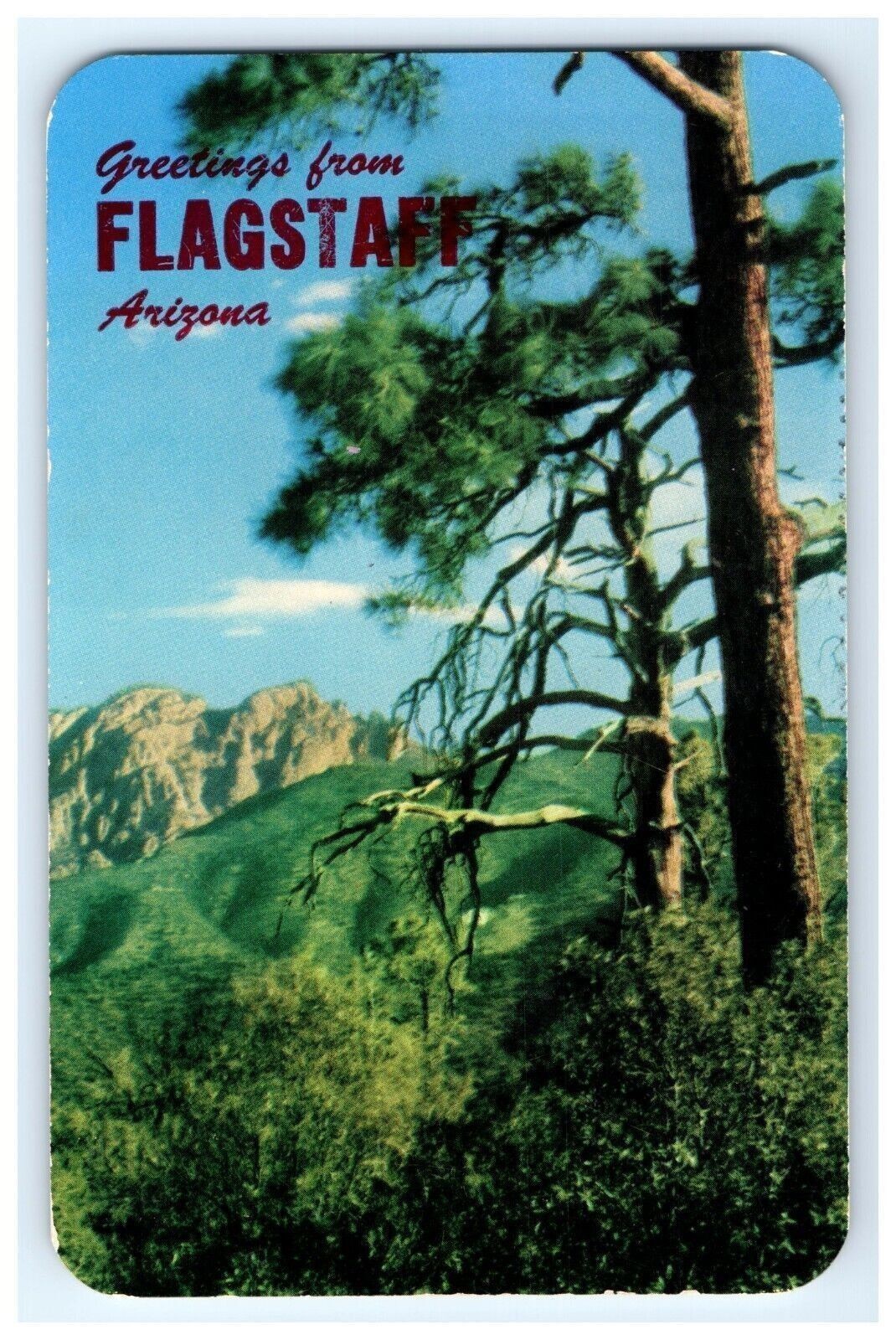 Vintage Postcard Greetings From Flagstaff Arizona Cochise Head Massai Point Road