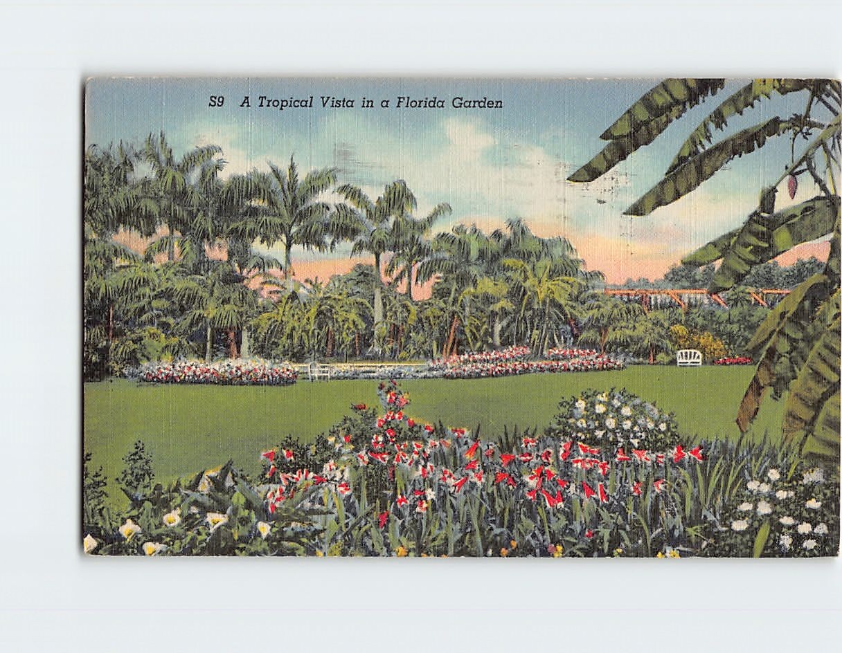 Postcard A Tropical Vista in a Florida Garden, Sunken Gardens, Florida