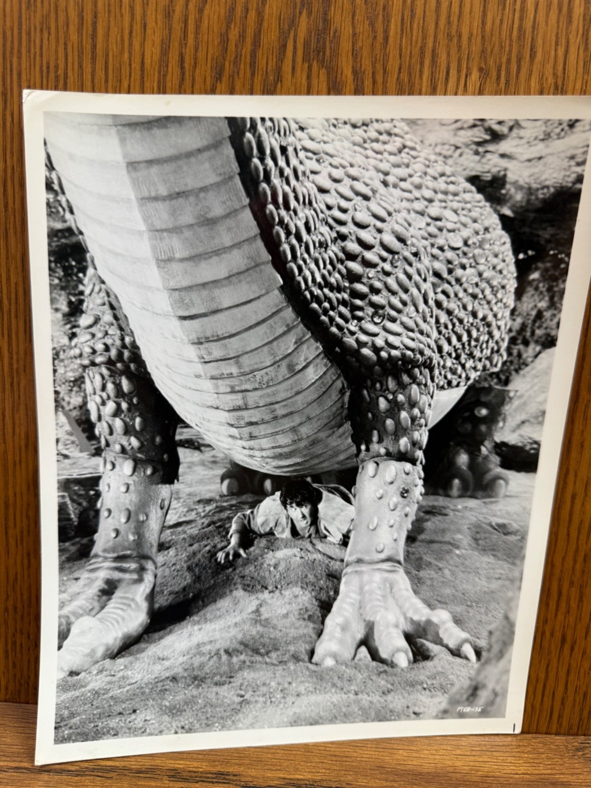 1977 Jabberwocky Movie Press Photo Black & White Vintage Cinema Memorabilia