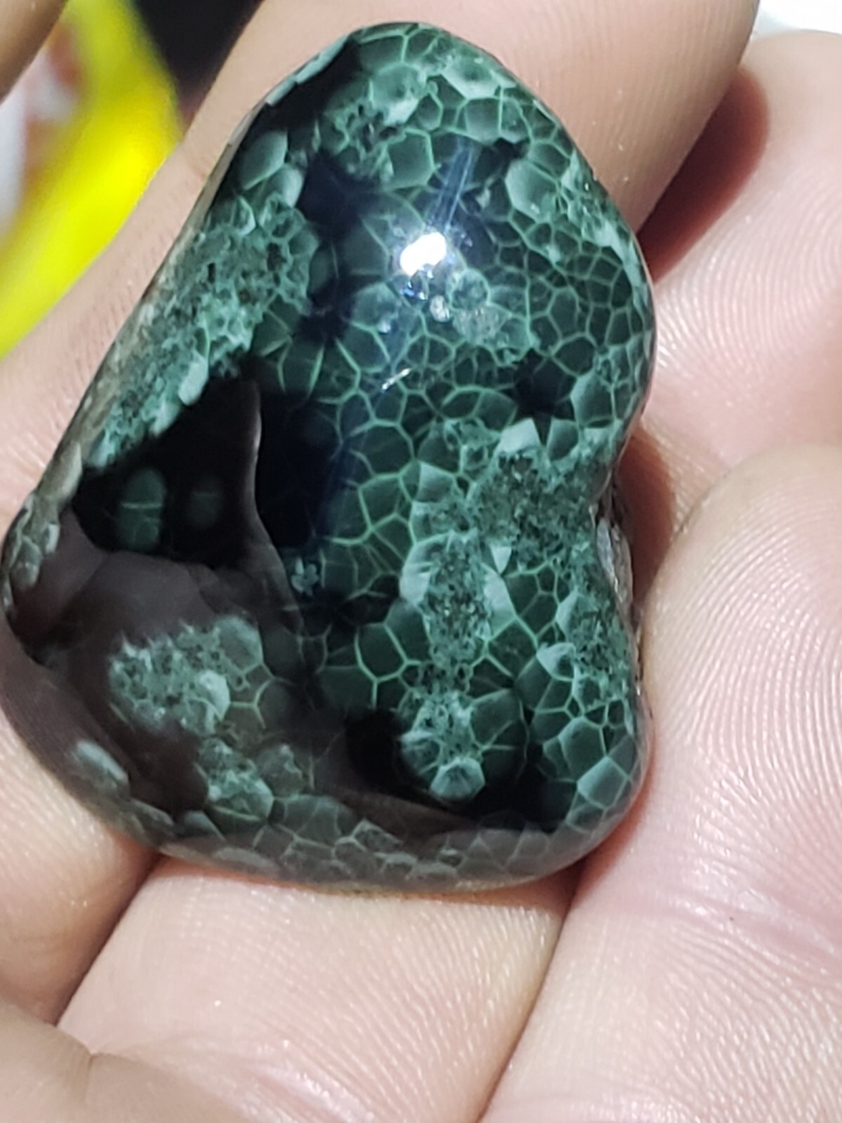 Extremly Rare Museum Size Isle Royal Greenstone Chlorastrolite Over 1 Ounce 29g