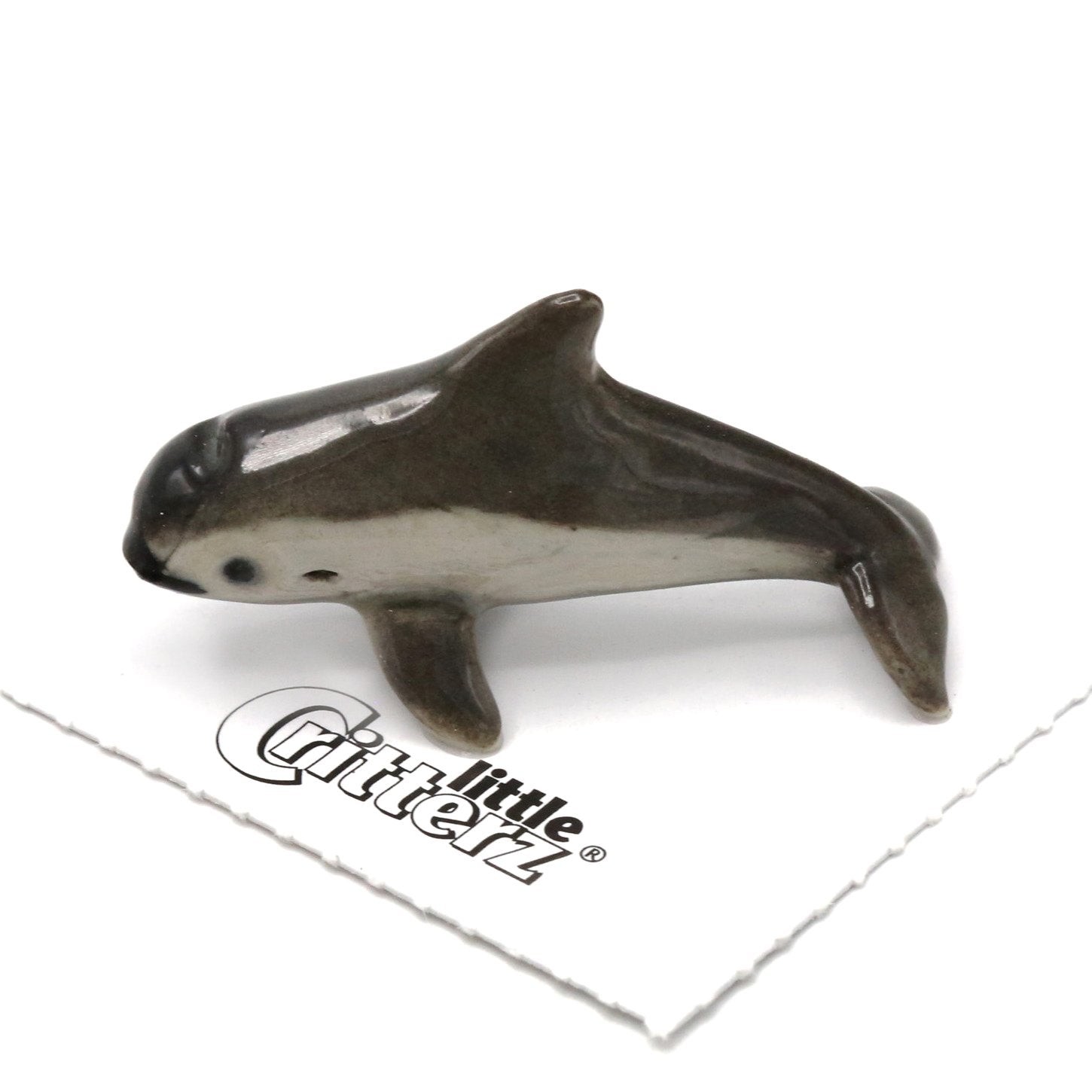 Little Critterz Fish - Vaquita \