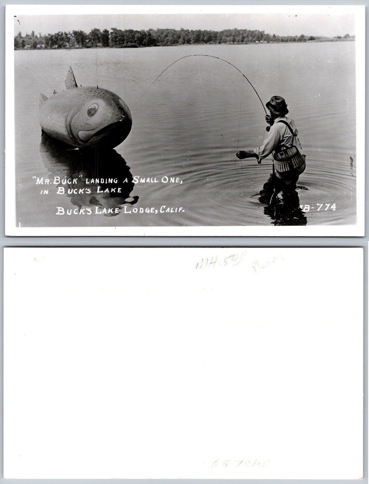 Exaggeration Giant Fish Fisherman Wading Lake Humor Postcard