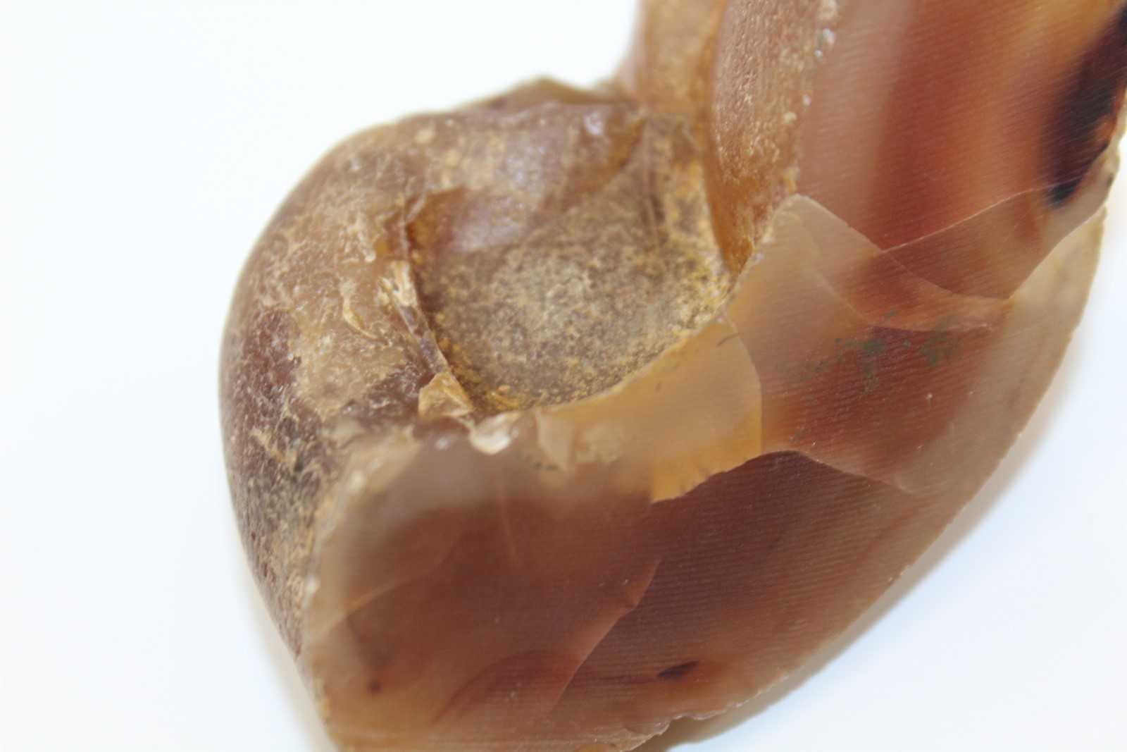 Striking Large Raw Amber Specimen Sample 6oz Total 3 1/8\
