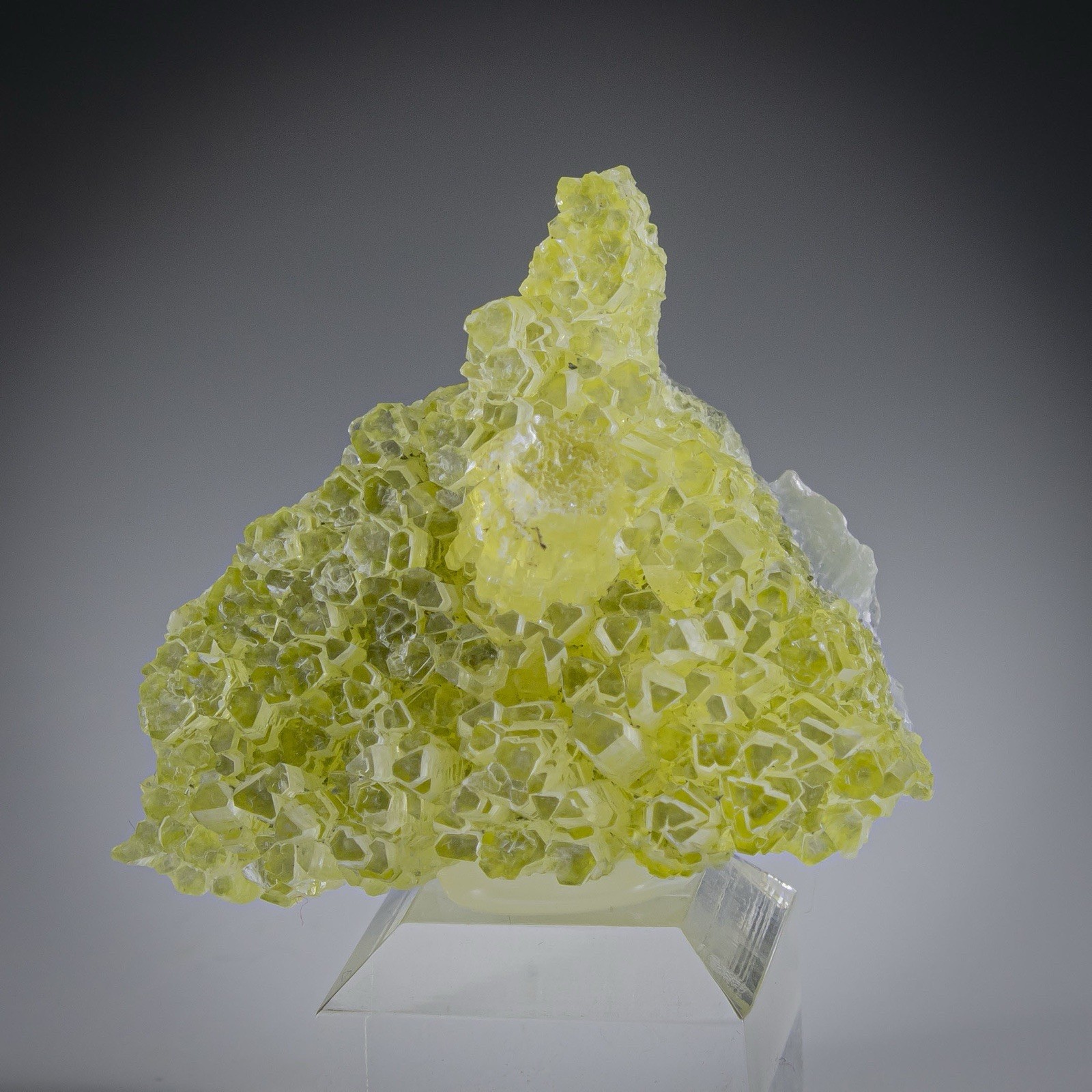 RARE TASMANIAN BRUCITE Gorgeous Miniature, One Time Find Closed Location
