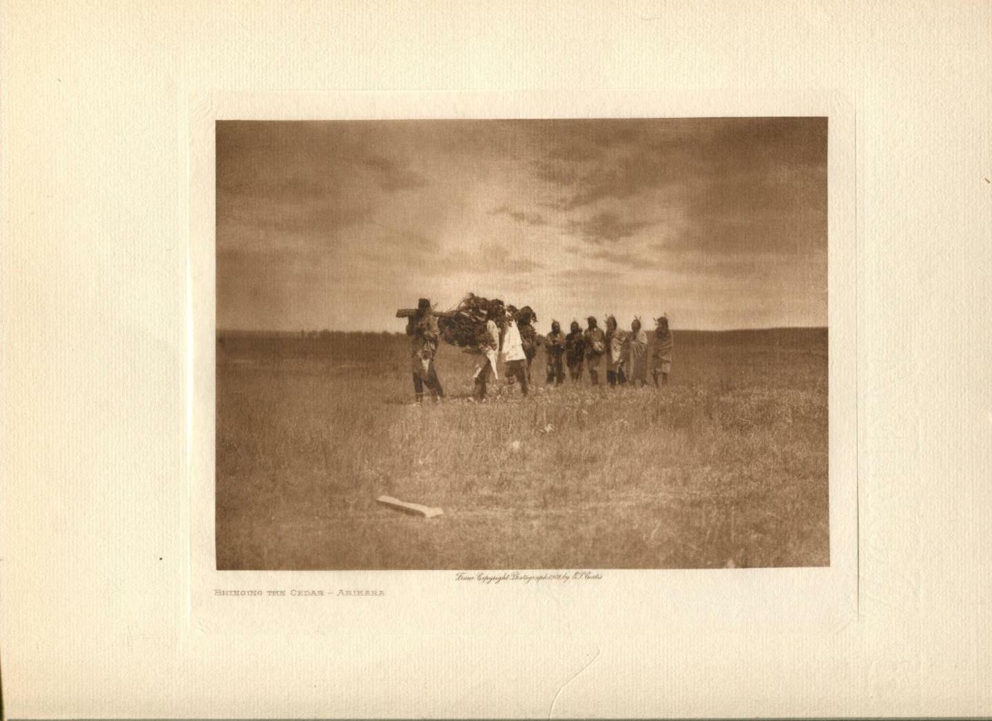 1908 Original Photogravure | Brining the Cedar - Arikara | Edward Curtis