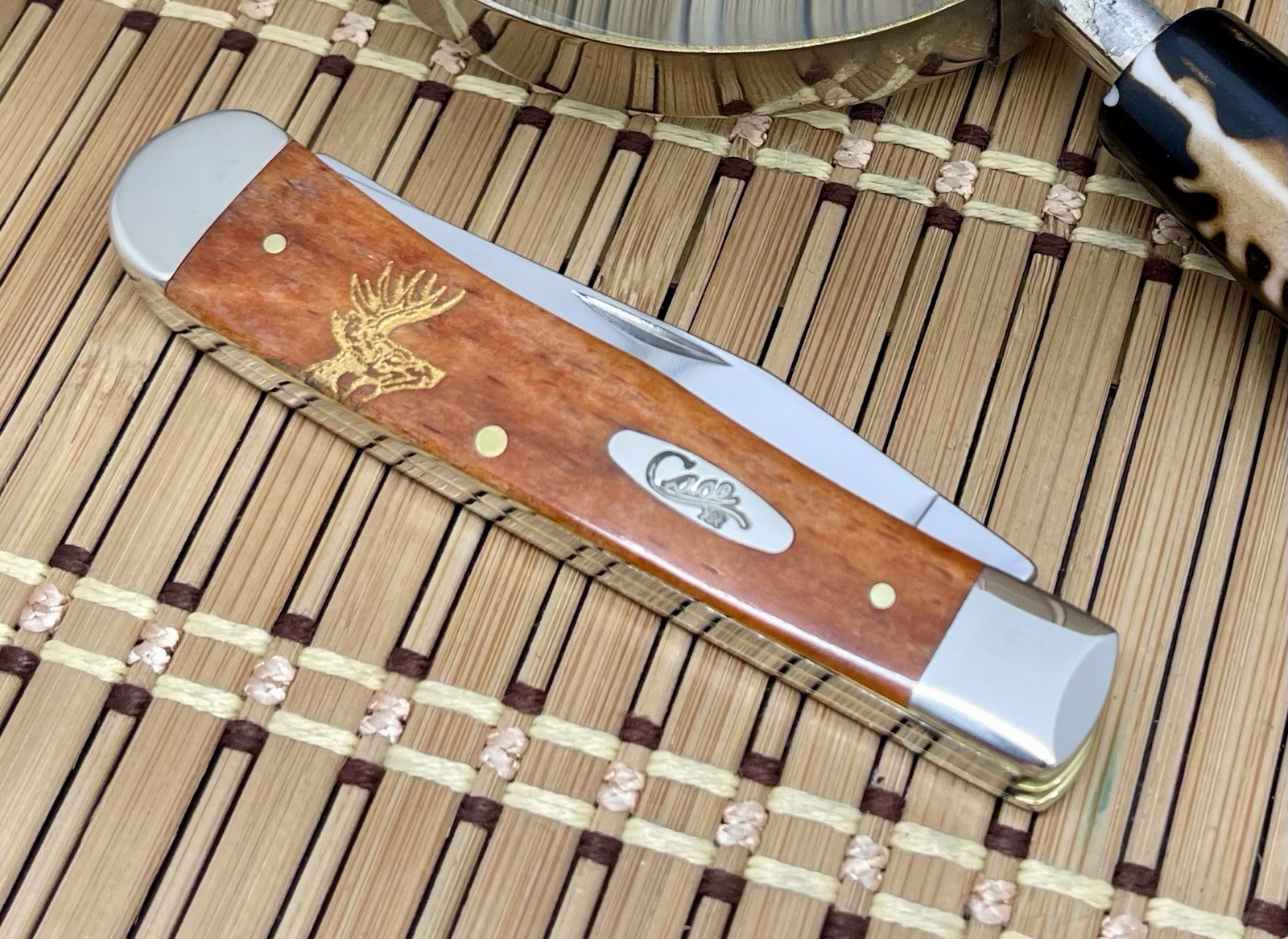 Case XX USA Chestnut Bone Gold Edition DEER Scene 1/500 Trapper Pocket Knife