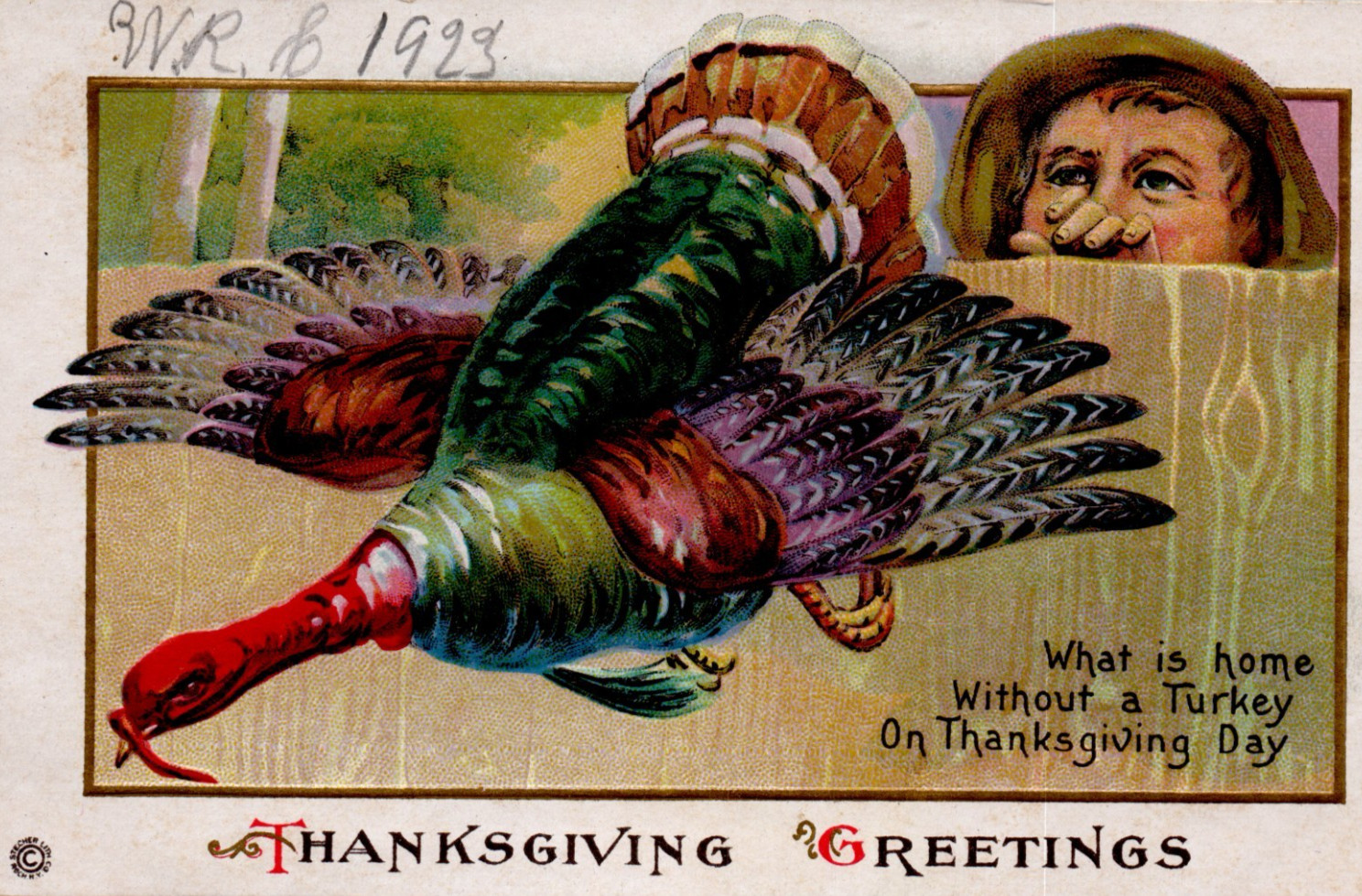 Thanksgiving Greetings turkey Stecher Litho Co. NY art embossed postcard