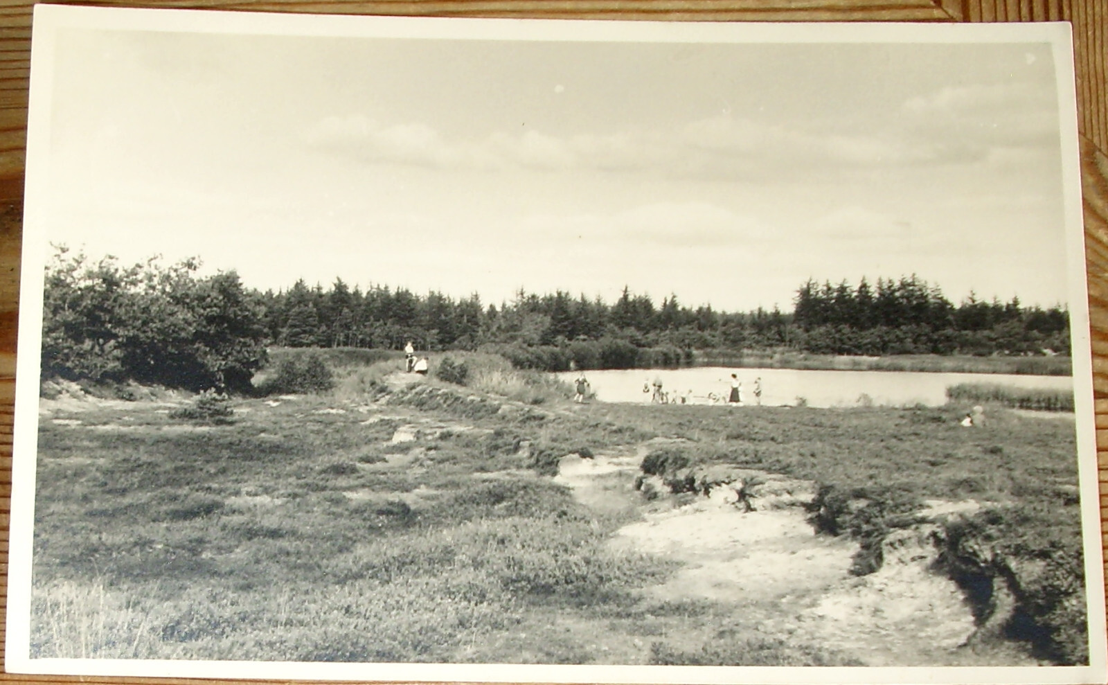 Postcard ~ 1960: Bordelum fish ponds Stollberg Bredstedt Husum North Frisia