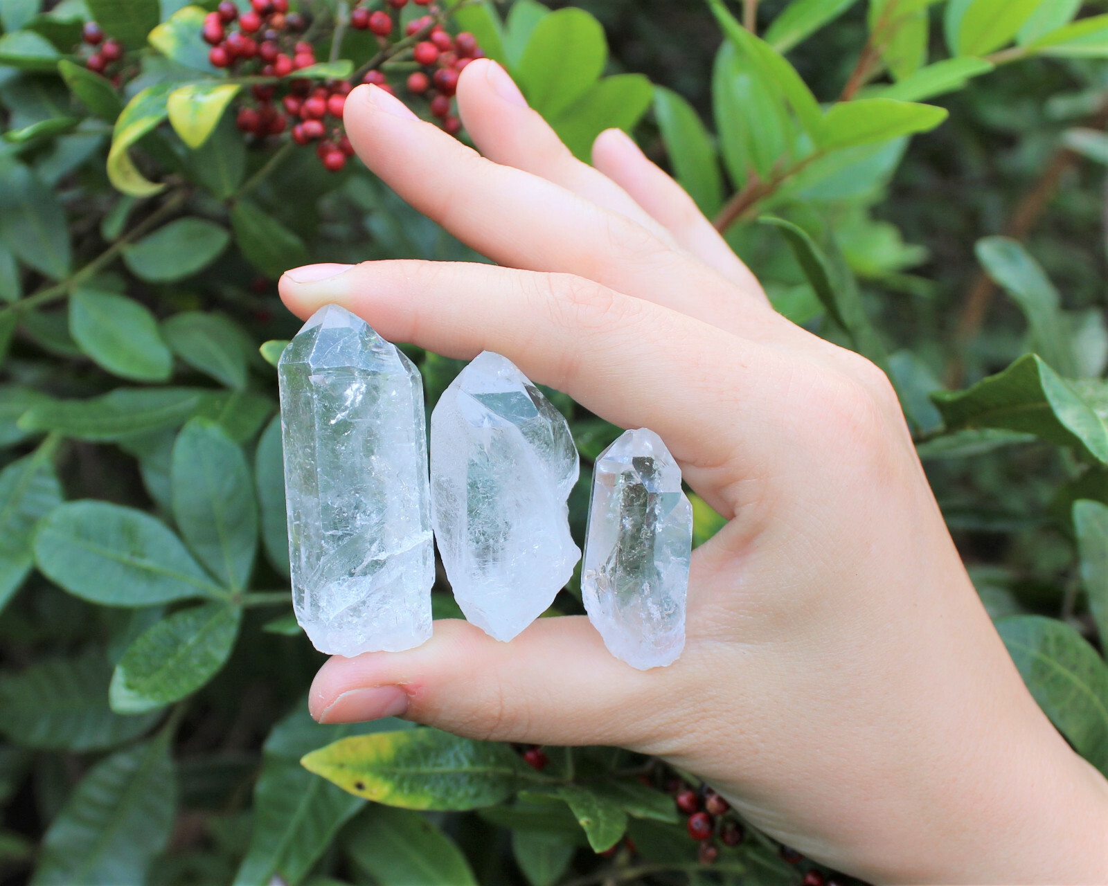 3 Pack Clear Quartz Crystal Points, 1 - 1.5 3 Pack Clear Quartz Crystal Points, 1 - 1.5