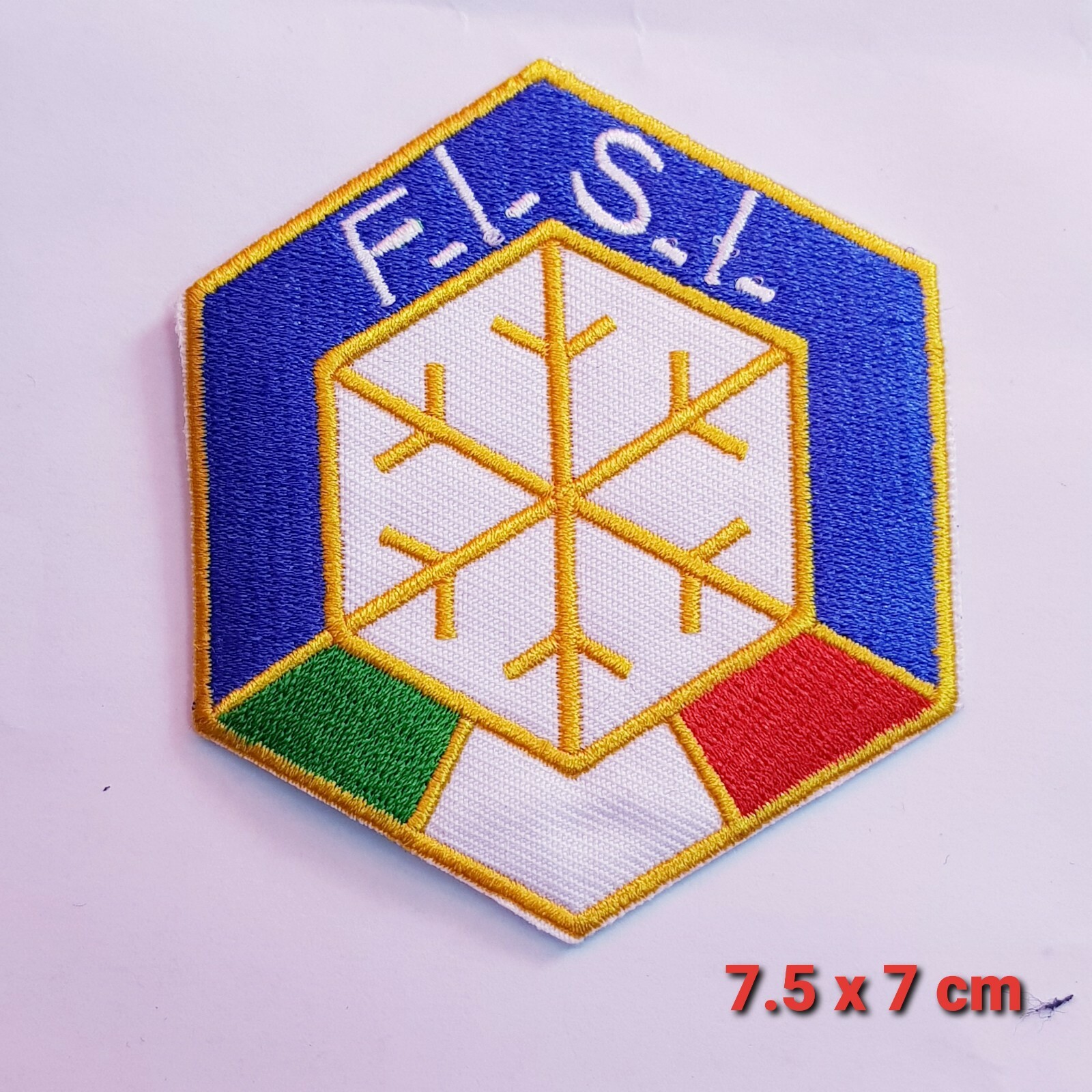 FISI Italy ski sports art badge Embroidered Iron or Sew on Patch