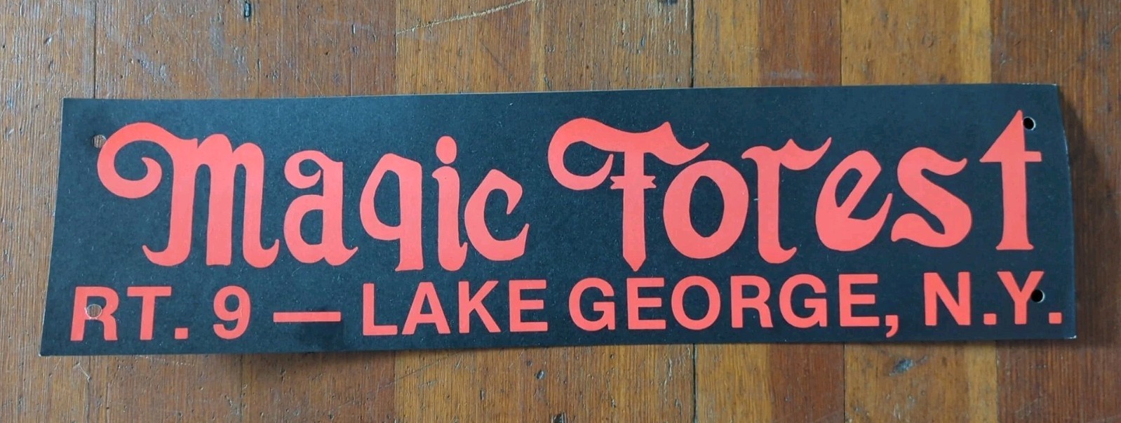 VINTAGE SOUVENIR TRAVEL CARDBOARD SIGN Display MAGIC FOREST LAKE GEORGE