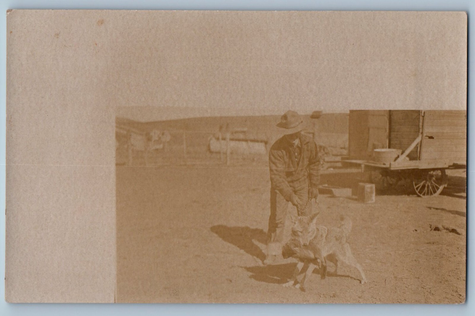 RPPC Photo Postcard Pet Wolf Coyote Hunting c1910's Unposted Antique