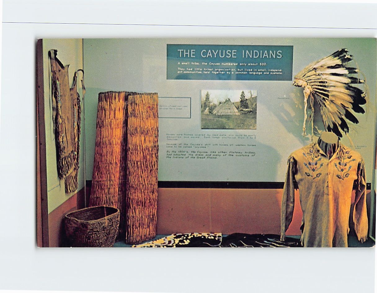 Postcard The Cayuse Native Americans Whitman Mission Walla Walla Washington USA