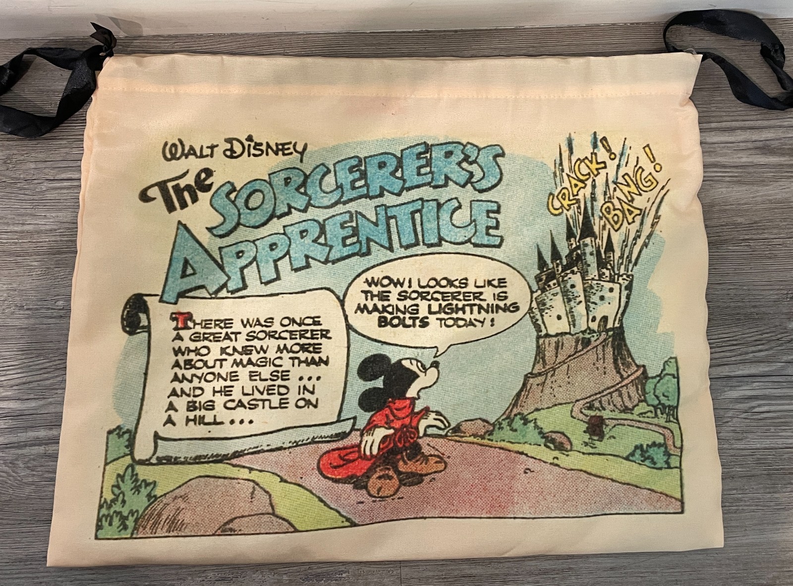Disney Harvey's (protective drawstring bag)