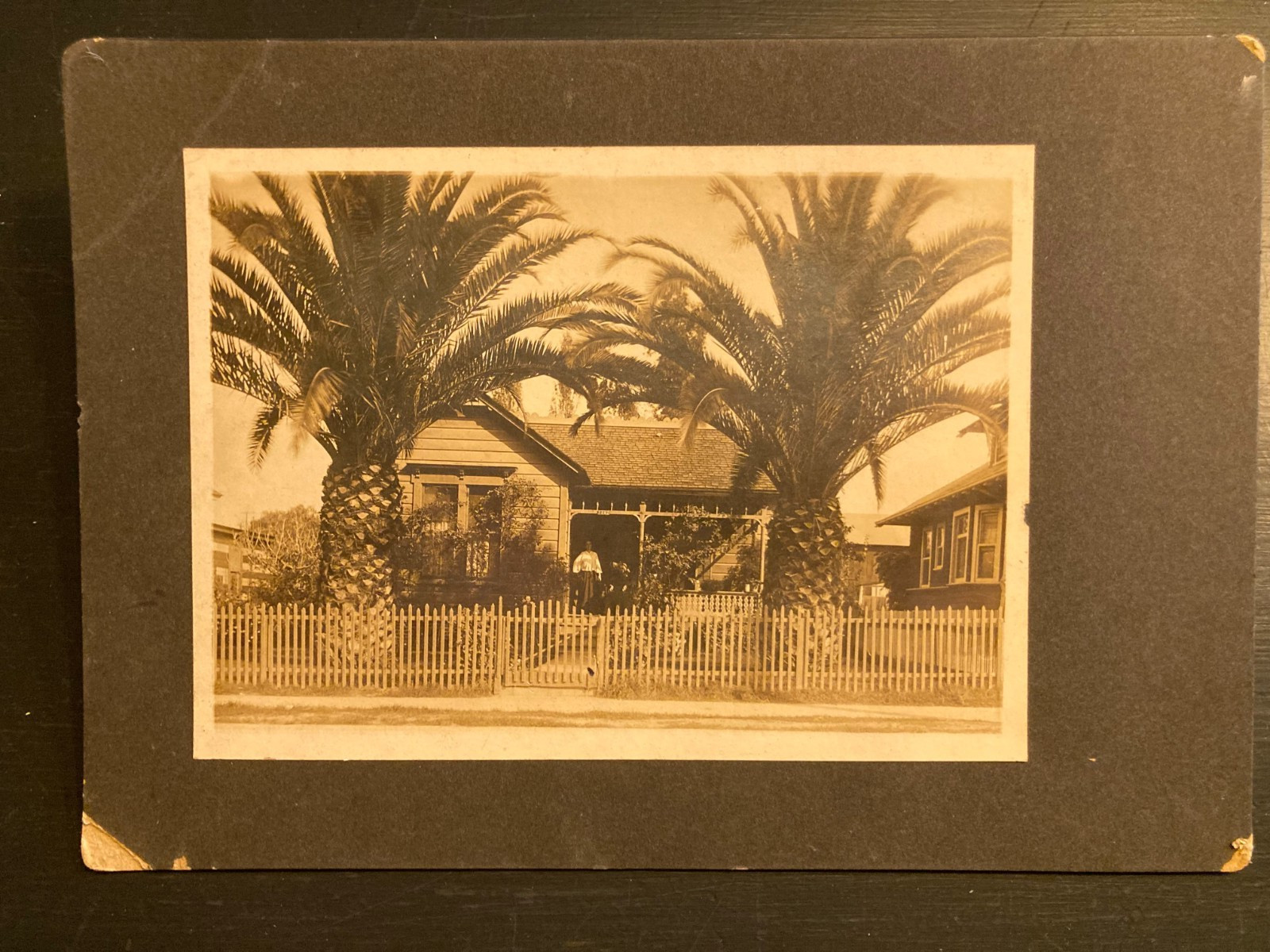 Antique Los Angeles CA House Photo Palm Trees Western Foto Co 7x10 Vintage