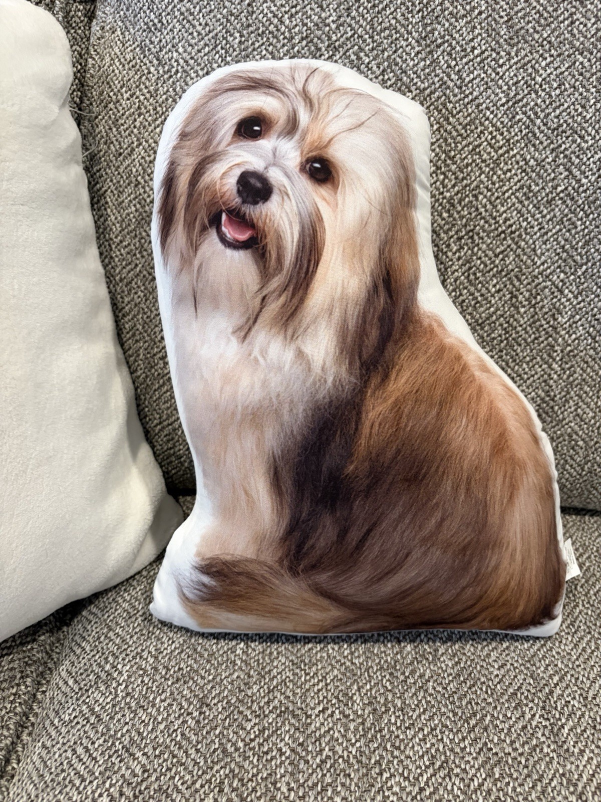 Coach pillow Dog pillow NWT  by Pioneer Woman Mercantile. New with Tags .