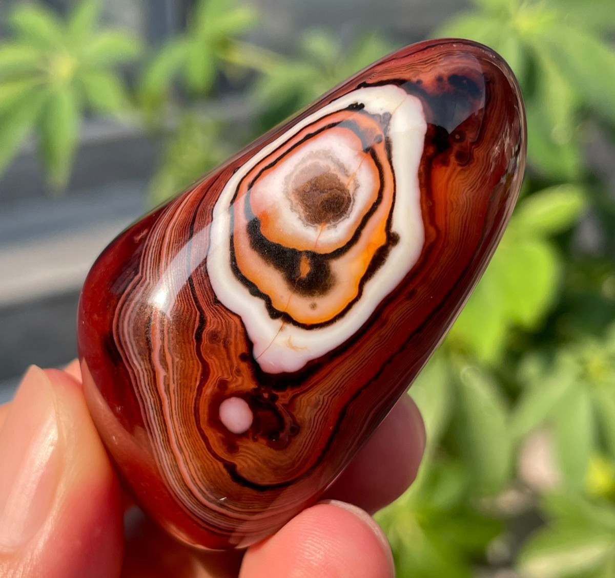 66g Natural Banded Agate Carnelian Polished Palm Stone Crystal Specimem Healing