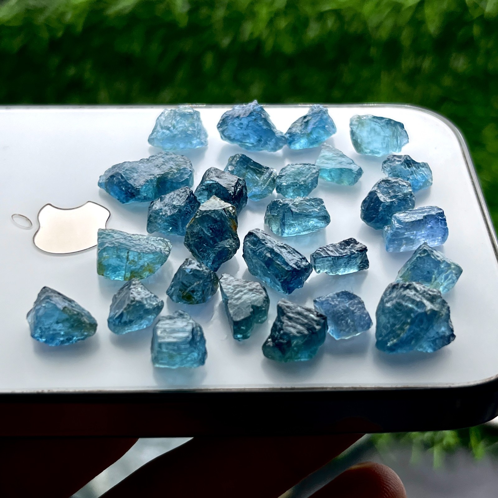110 Ct Natural Santa Maria Aquamarine Rough Lot 27 Blue Beryl Crystals