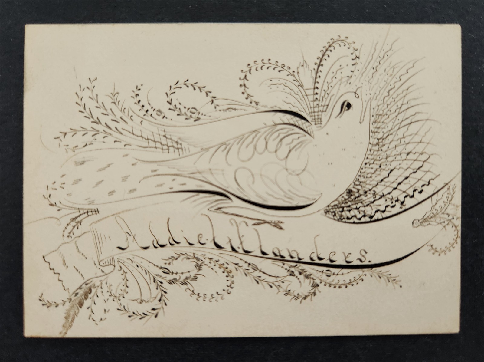antique SPENCERIAN PENMANSHIP CARD bird ADDIE L FLANDERS new hampshire folk art