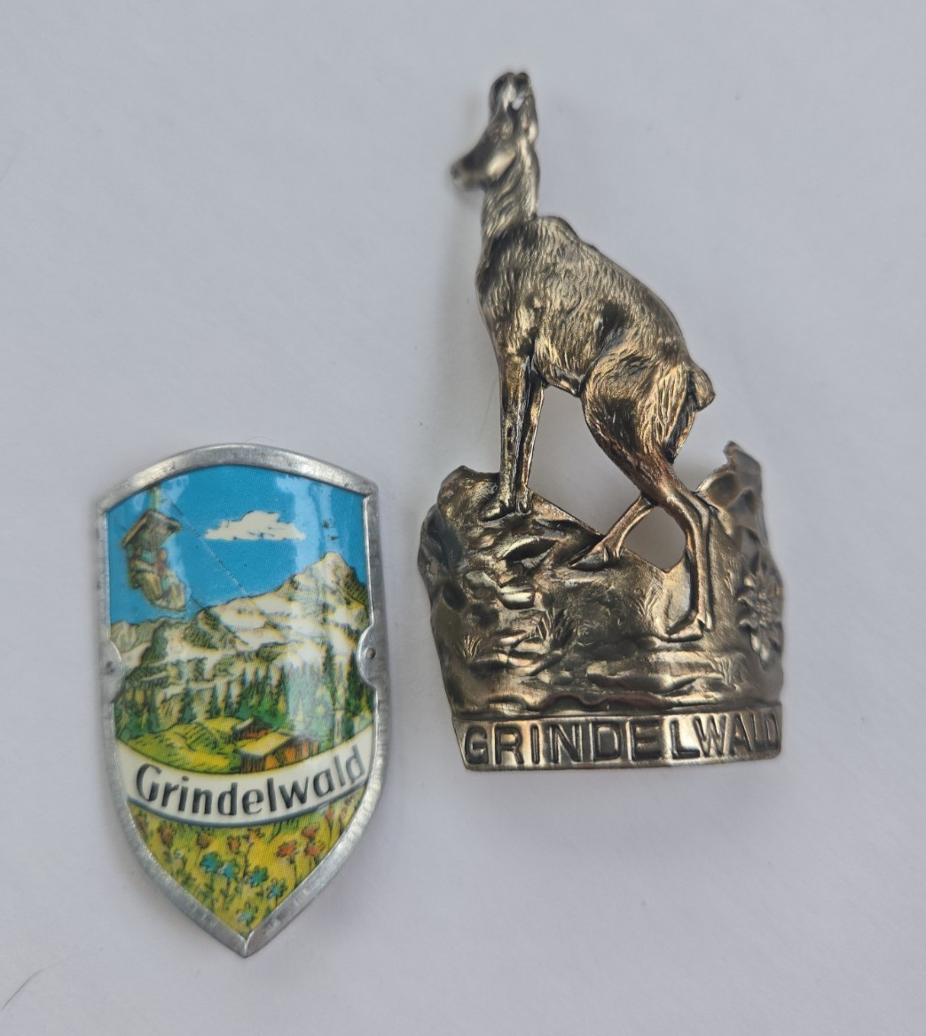 Vintage Grindelwald Set of 2 Metal Badge Pin Hiking Stick Pole Switzerland Swiss