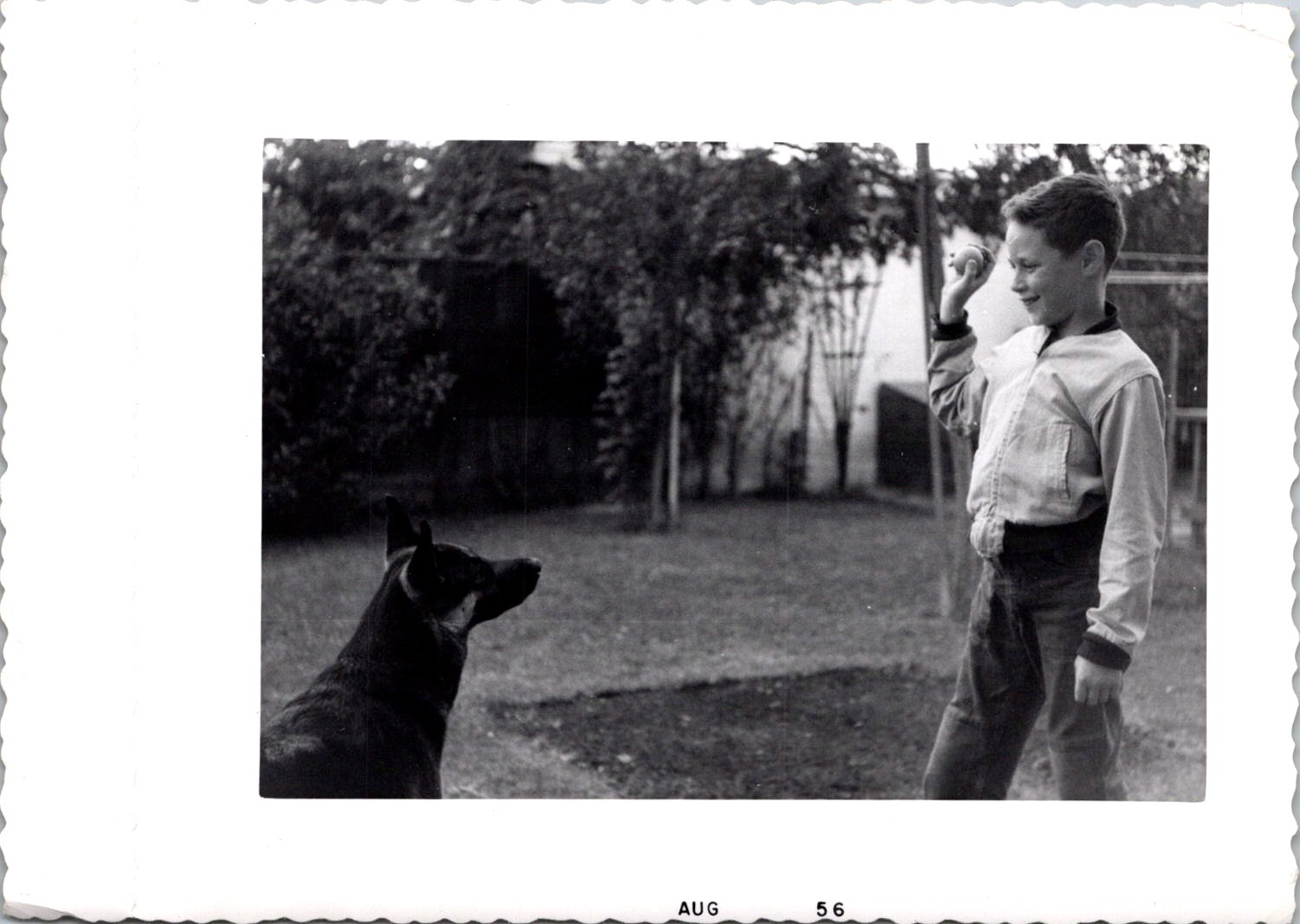 Boy Playing Fetch with Dog in Backyard, 1956 B&W Snapshot Photo