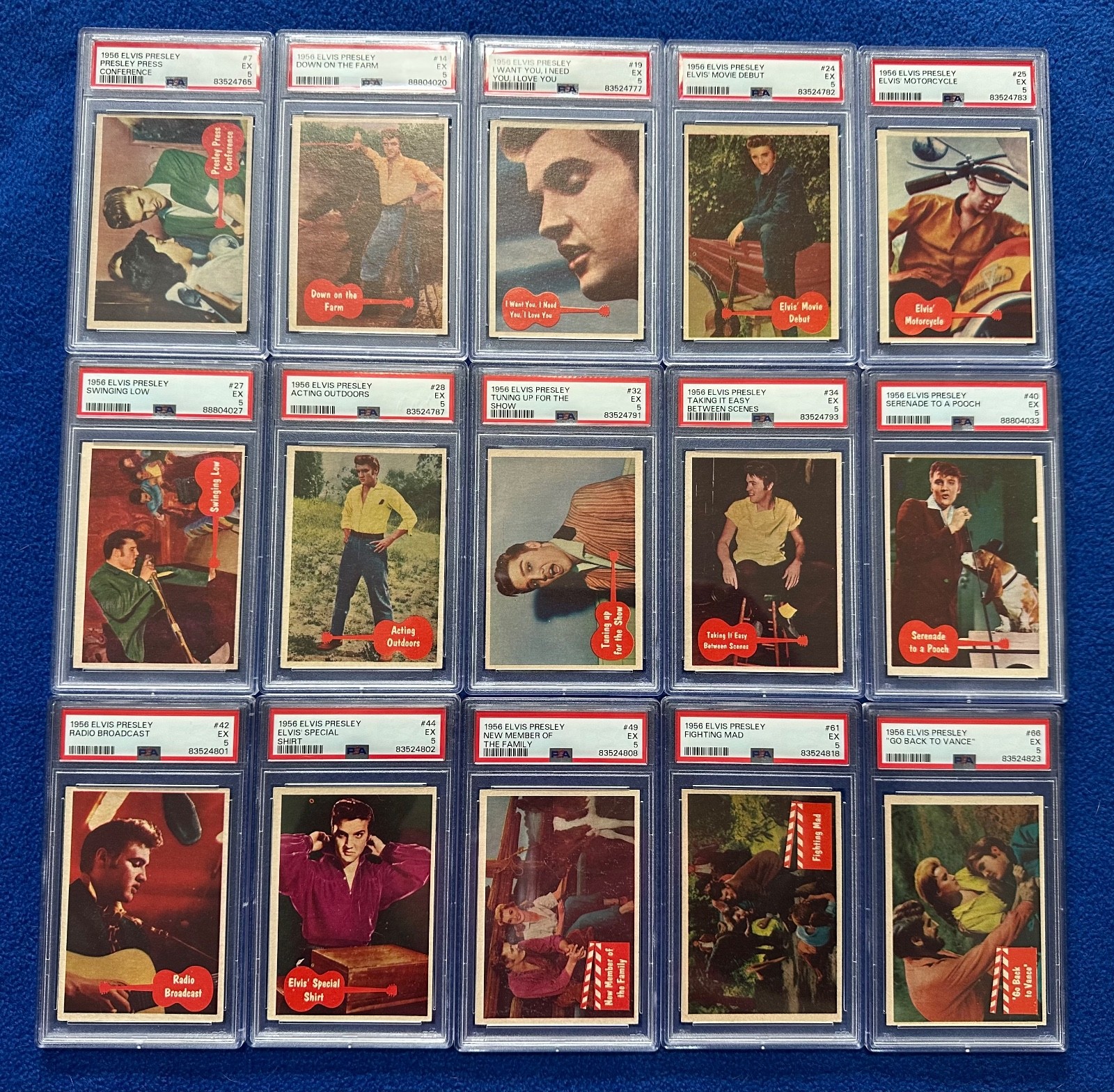 Lot of 15 Elvis Presley 1956 Topps Bubbles Cards All Graded PSA 5 (EX) Lot of 15 Elvis Presley 1956 Topps Bubbles Cards All Graded PSA 5 (EX)