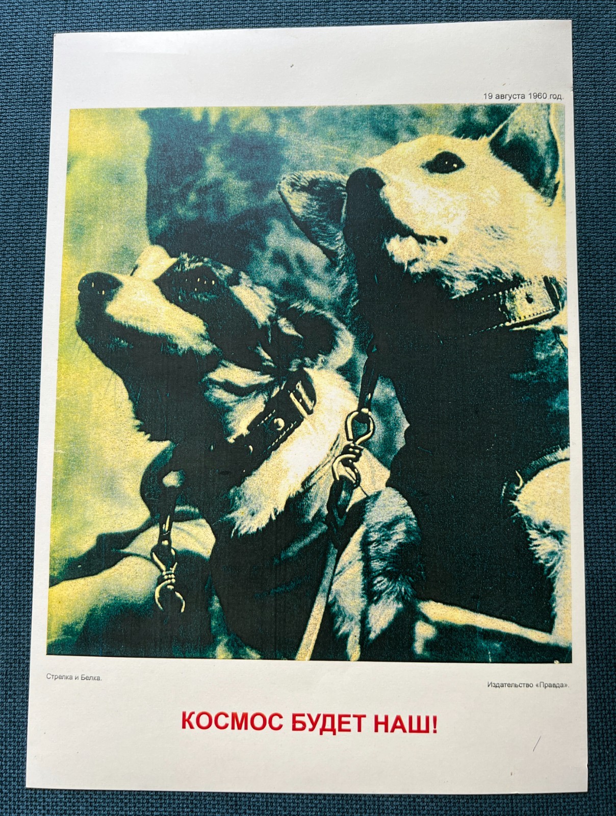 1960 Space Dog Belka Strelka Rocket Original Poster Russian Soviet 30x40 Rare