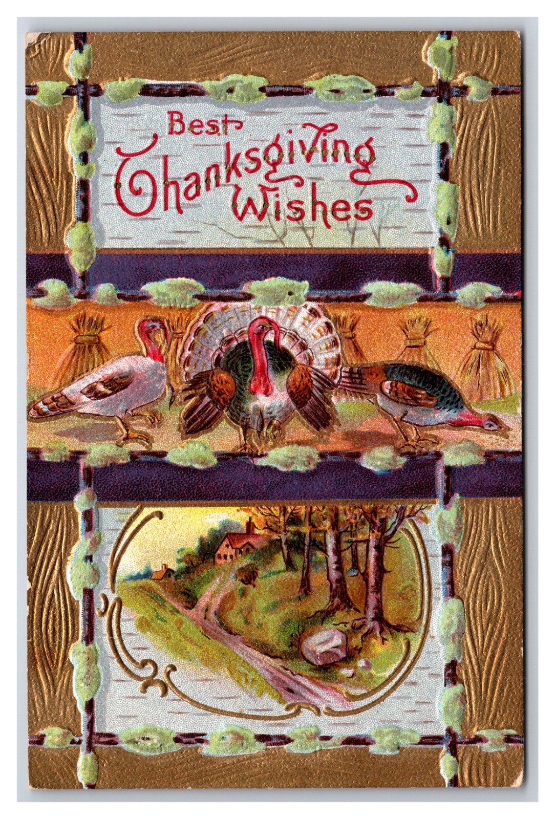 Turkey and Landscape Thanksgiving Wishes Gilt Embossed DB Postcard XB12