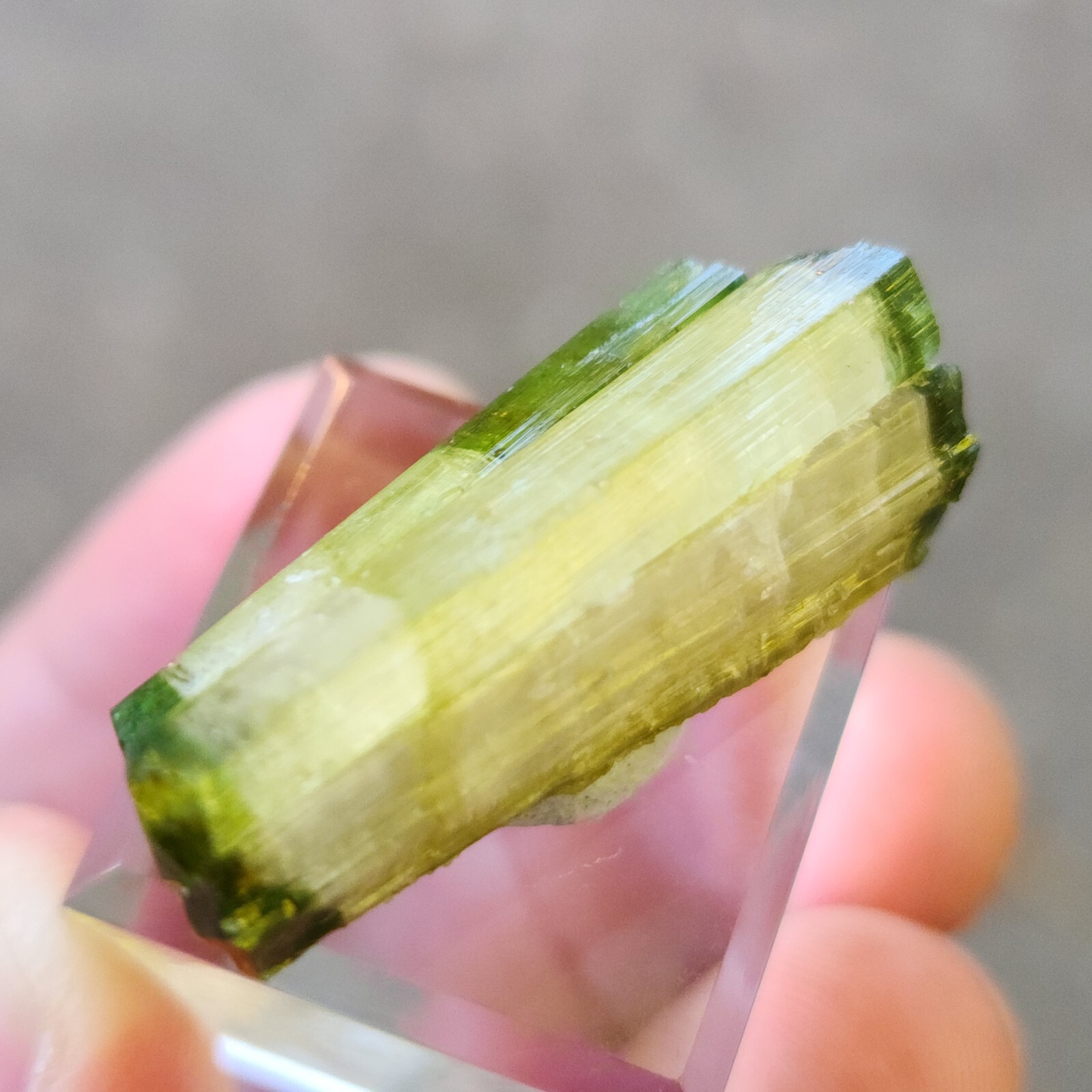 Rare DT Green Tourmaline with Acroite and Herderite from Skardu, 10gm, US Seller
