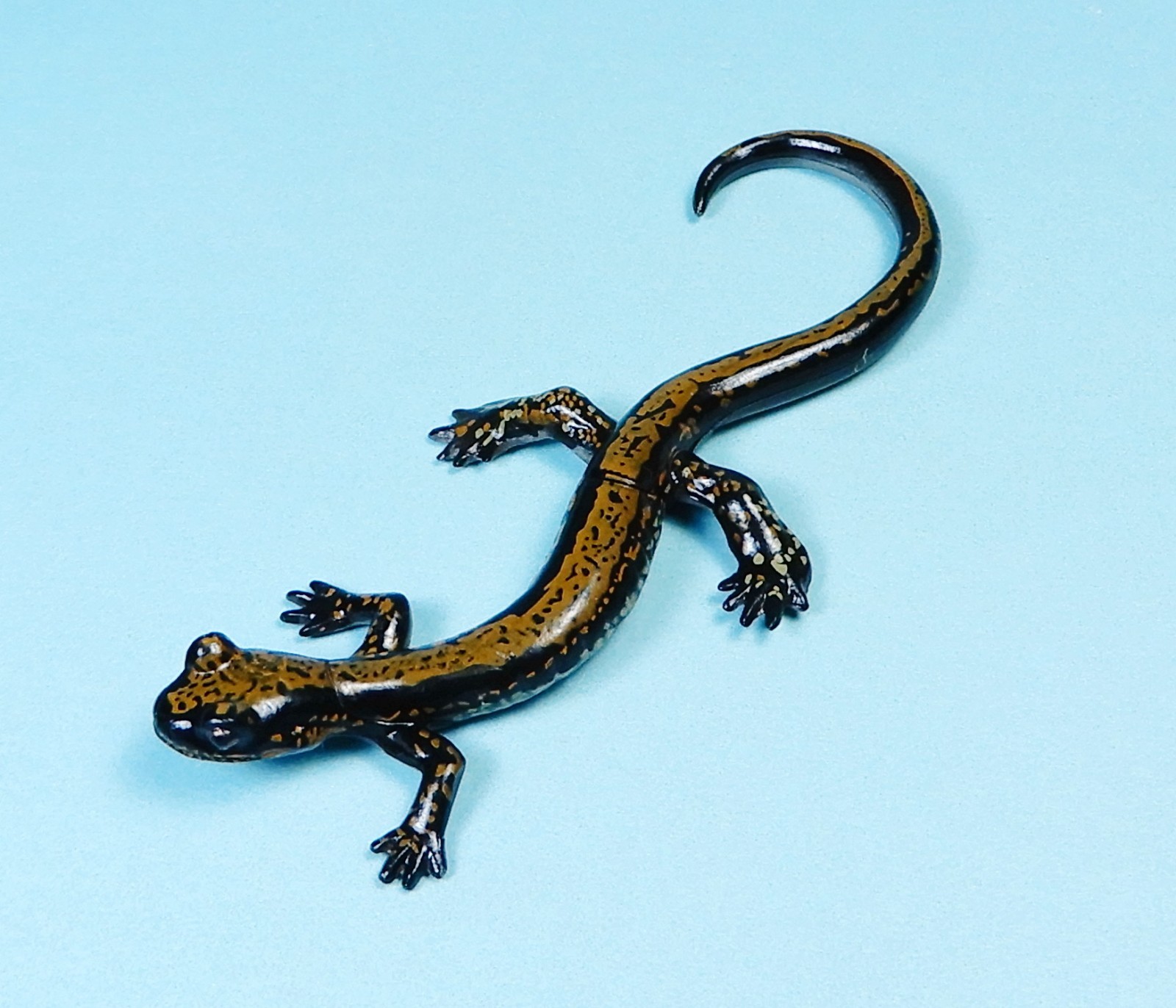 Kaiyodo Animatales Animal in Japan Choco Q Japanese clawed salamander Figure