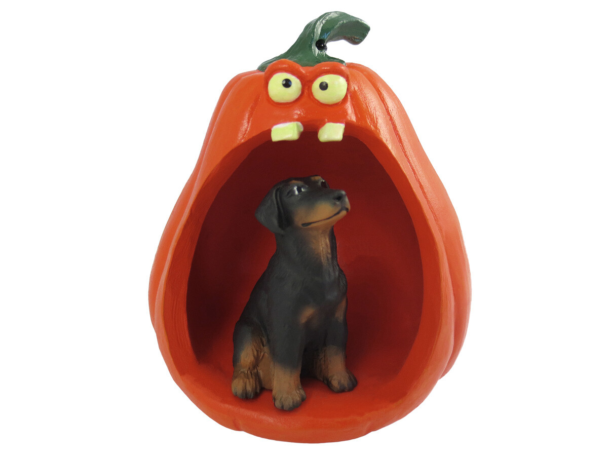 Doberman Pinscher Black w/Uncropped Ears Halloween Figurine and Spooky Pumpkin Doberman Pinscher Black w/Uncropped Ears Halloween Figurine and Spooky Pumpkin