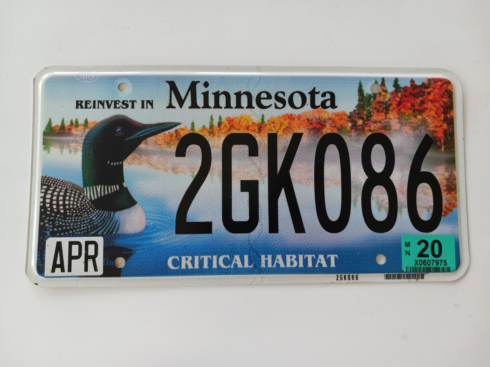 2020 Reinvest In Minnesota Critical Habitat Loon License Plate 2GK086
